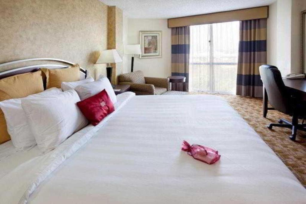 Hotel Radisson -